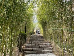 -竹子庵公园