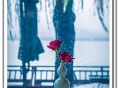 -柳莺湖上·湖景餐厅·江南菜(西湖店)