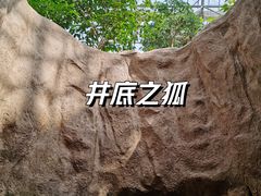 -南山植物园
