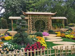 -上海共青森林公园