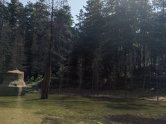 -广州市帽峰山景区