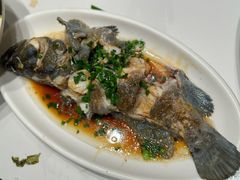 -金海湾海鲜排档(朱家尖店)