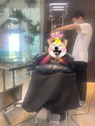 -悦SALON