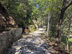 -大岭沟猕猴桃谷风景区