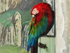 -石家庄市动物园