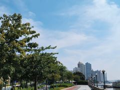 -洲头咀公园