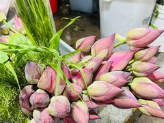 -循礼门鲜花花市(武汉循礼门店)