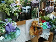 android_upload_pic-济州岛泰迪熊博物馆