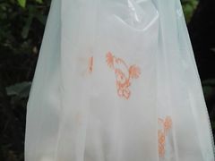 -金盆阿嬷香菇茶叶蛋(玄光店)