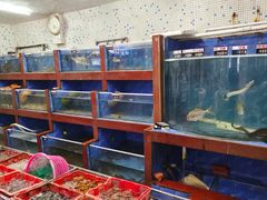 -鹏城人家海鲜酒家·23年老字号(较场尾店)