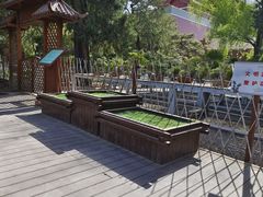 -北京市劳动人民文化宫(太庙)