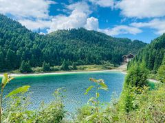 -武陵山森林公园