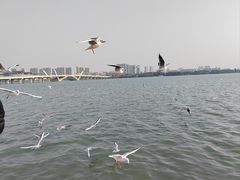 -蠡湖大桥公园