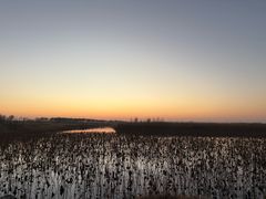 -卧龙湖