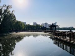 -莲花池公园