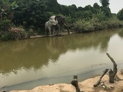 -南昌动物园