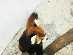 -海合安武汉极地海洋公园