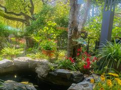 -谷咖啡·鲜花绿植花园餐厅