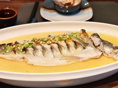金汤清蒸海龙斑-九福楼大酒店