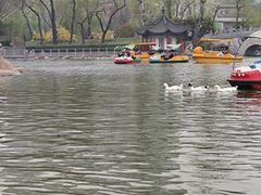 -莲湖公园