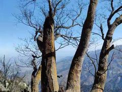 -终南山南五台景区