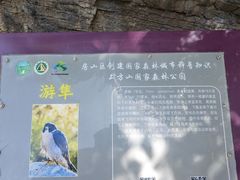 -北京上方山国家森林公园