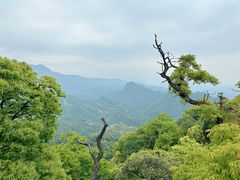 -青城山