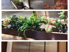 -宏宴·新京菜(望京店)