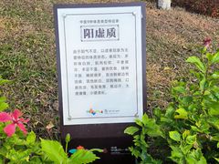 -珠海圆明新园