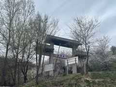 -中华福寿山