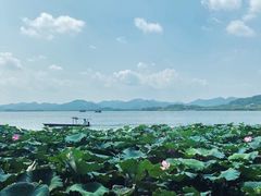 -湖畔居茶楼(湖滨店)