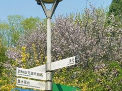-北京奥林匹克公园