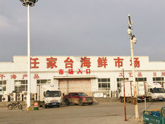 -日照世帆赛基地