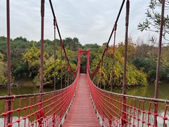 -上海吴淞炮台湾国家湿地公园