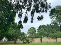 -福建鲤鱼洲酒店