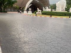 -清迈夜间动物园