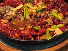 -老板恋上鱼(印象城店)