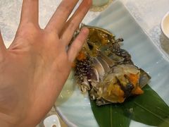 -渔娘渔家丹东海鲜(东直门店)