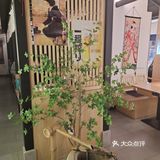 寿喜锅嗨起来