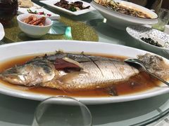 -蝶园·装修中(BFC外滩金融中心店)