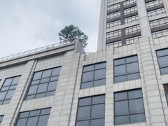 -上海金山滨海铂骊酒店-铂雅全日餐厅