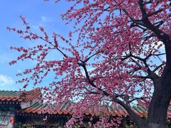 -珠海圆明新园
