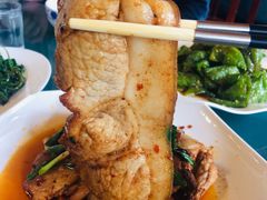 -代木儿回锅肉