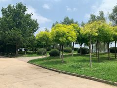 -咸阳湖景区-古渡公园