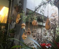 -金芙美月子中心(财富别墅店)