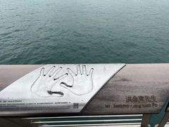 -星光大道