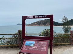 -广东惠东海龟国家级自然保护区