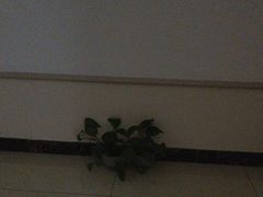 -皇朝浴足(九台路店)