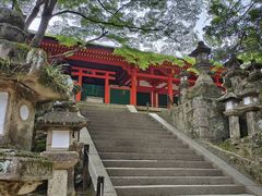 -奈良公园