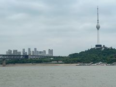 -武汉关码头(轮渡站)